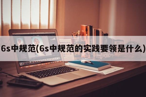 6s中规范(6s中规范的实践要领是什么)