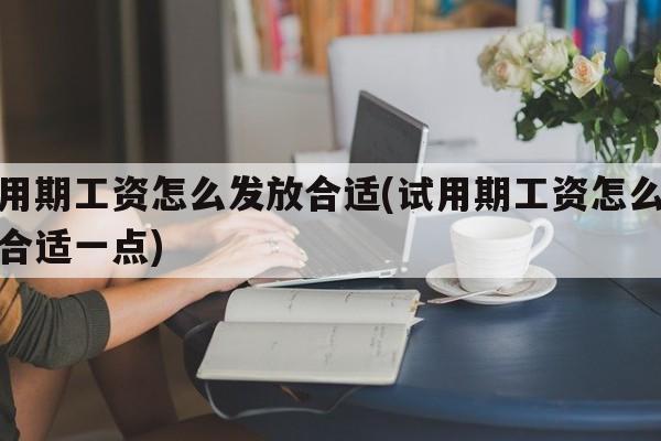 试用期工资怎么发放合适(试用期工资怎么发放合适一点)